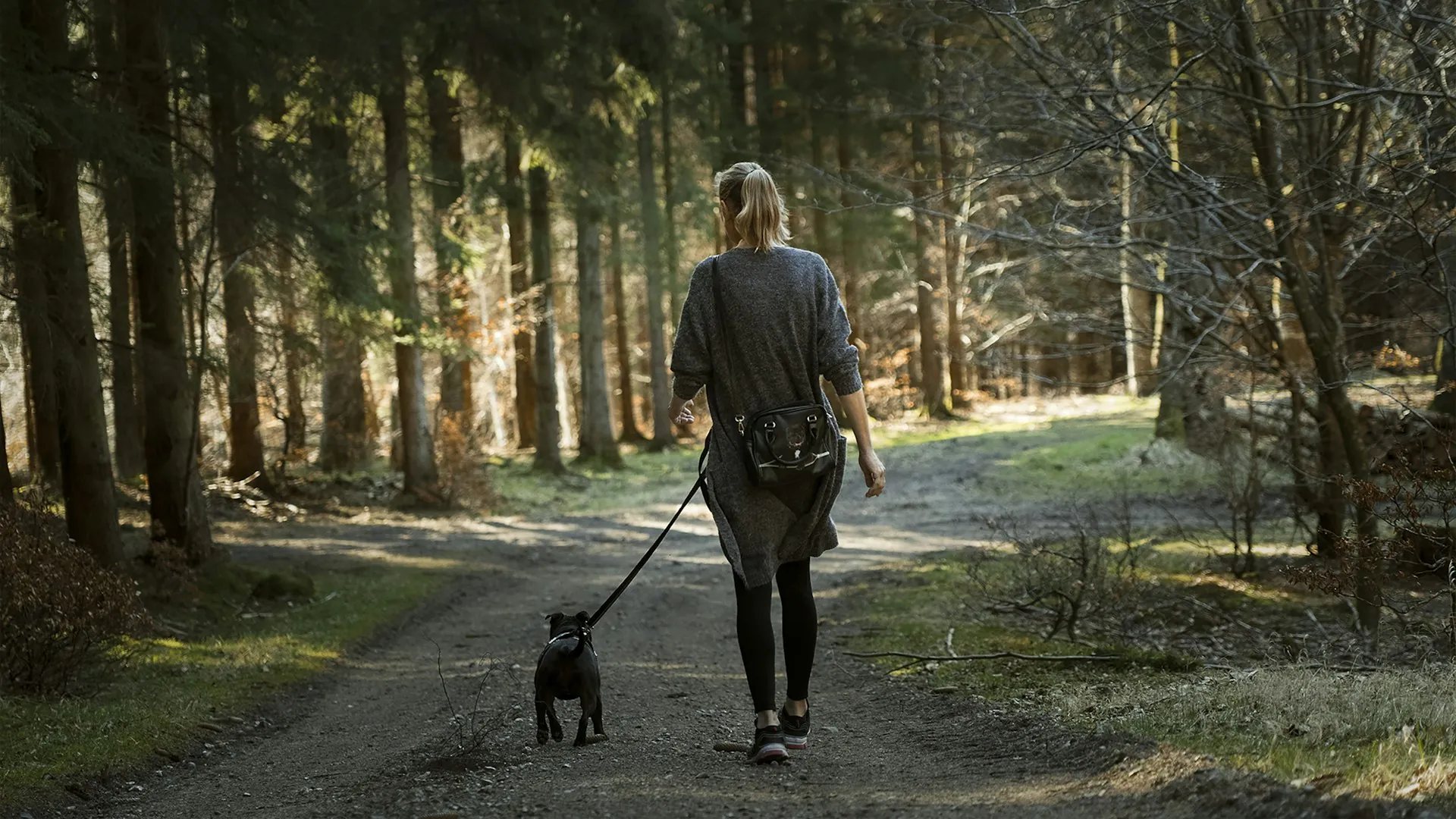 Mulher caminhando com seu cachorro em trilha arborizada